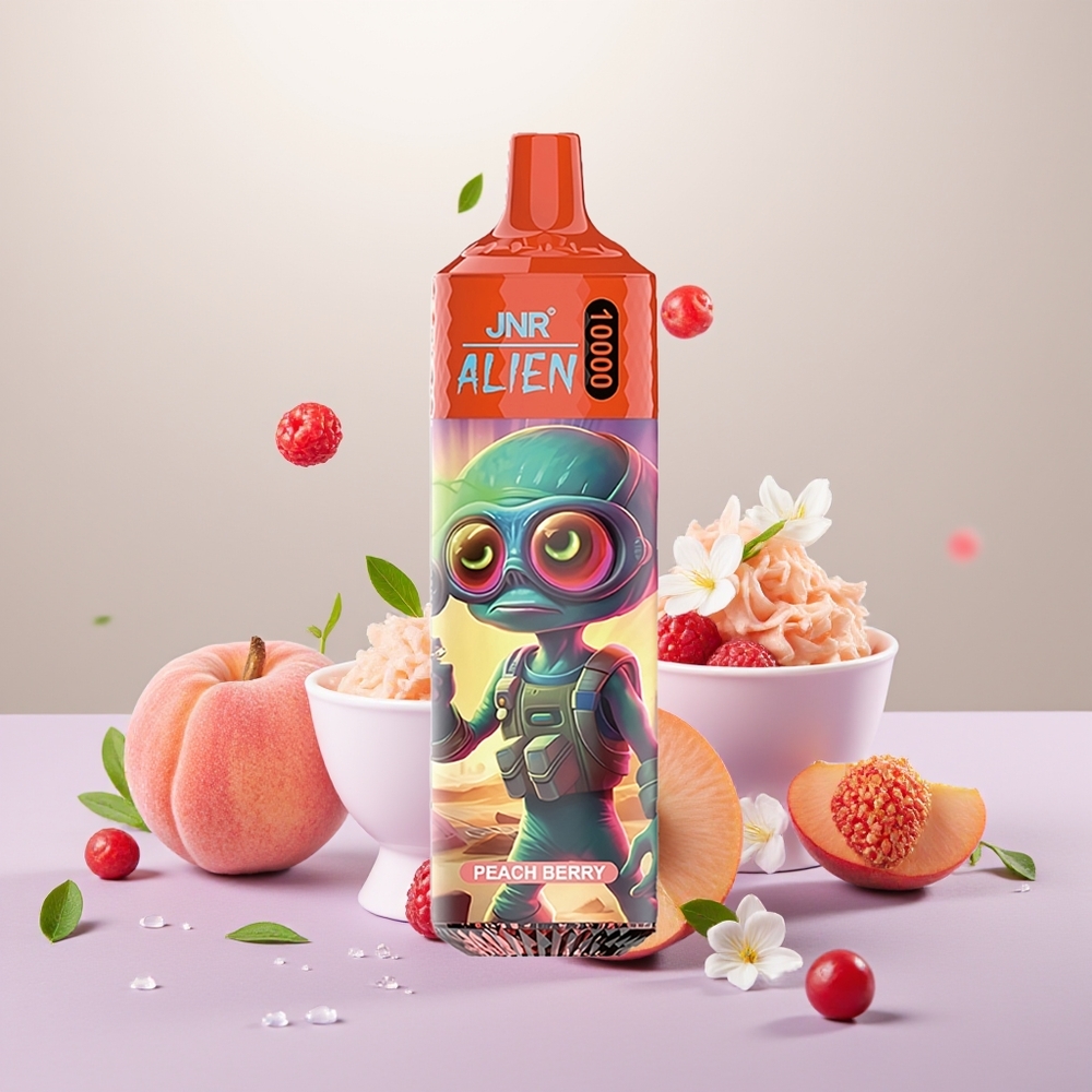 Wholesale Turkey JNR Alien 10000 Puff LED Şeftali Böğürtlen