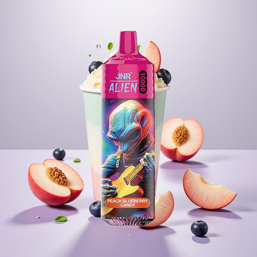 Wholesale Turkey JNR Alien 10000 Puffs LED Type-C Şeftali Yaban Mersini Şeker
