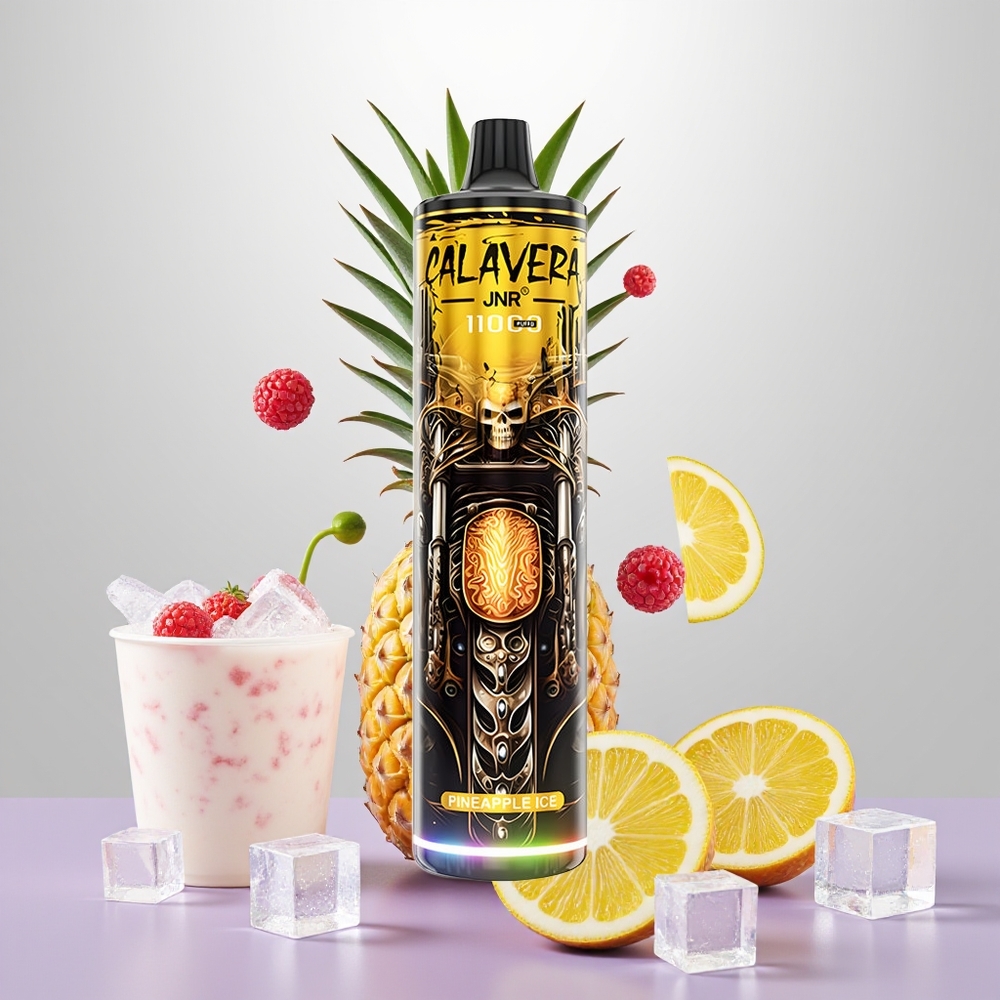 Wholesale Turkey JNR Calavera 11000 Puff 850mAh 21ml Ananas Buz Tek Kullanımlık Vape