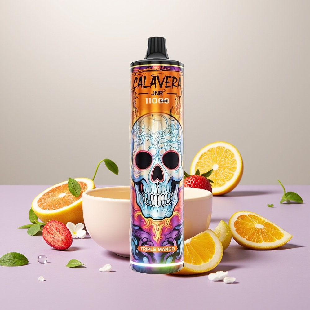 Wholesale Turkey JNR Calavera 11000 Puff 850mAh 21ml Üçlü Mango