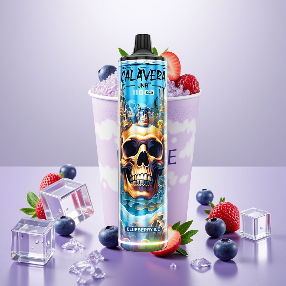 Wholesale Turkey JNR Calavera 11000 Puffs 21ml 0% Çilek Buz Tek Kullanımlık Vape
