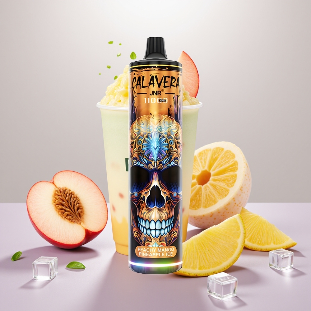Wholesale Turkey JNR Calavera 11000 Puffs 21ml 850mAh Şeftali Mango Ananas Buz