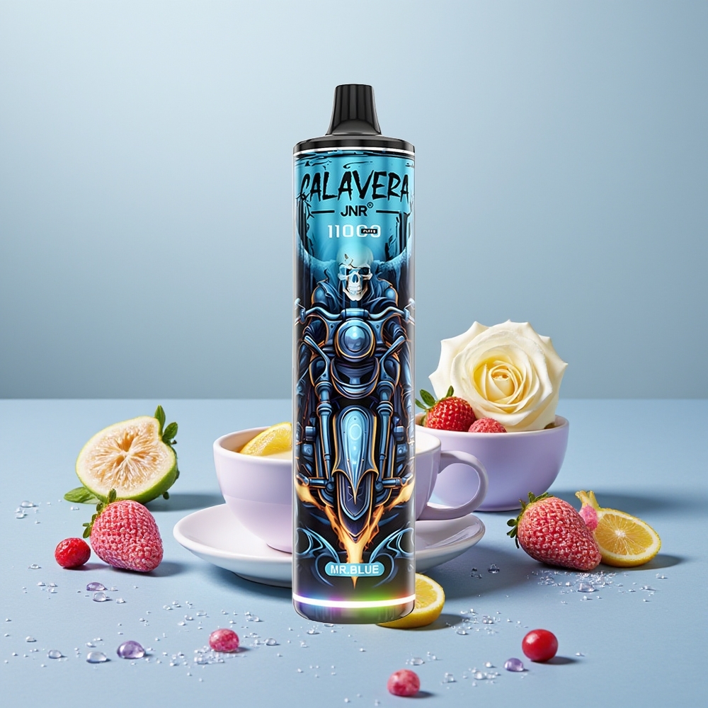 Wholesale Turkey JNR Calavera 11000 Puffs 21ml Bay Mavi