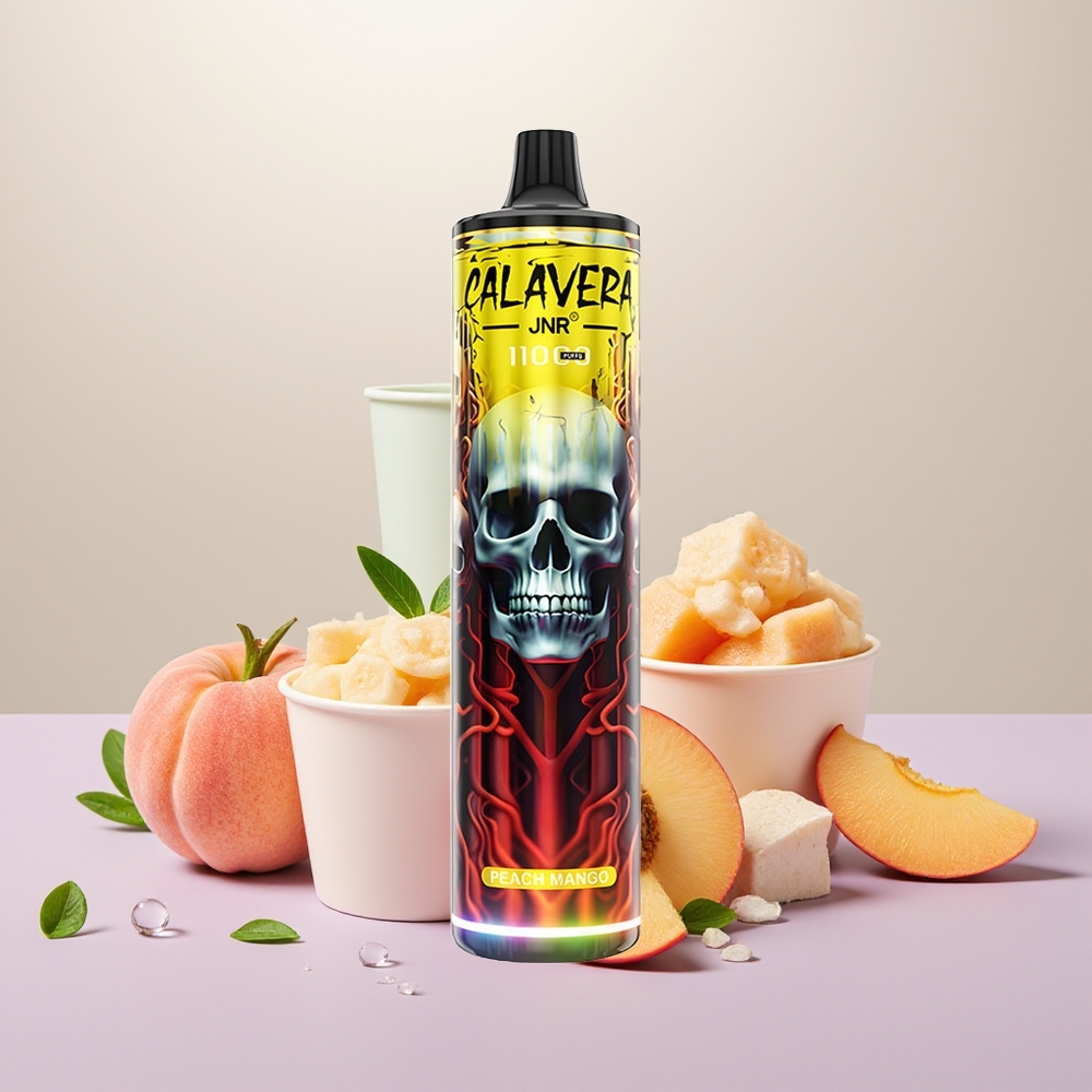 Wholesale Turkey JNR Calavera 11000 Puffs 850 mAh 21ml Şeftali Mango Tek Kullanımlık Vape