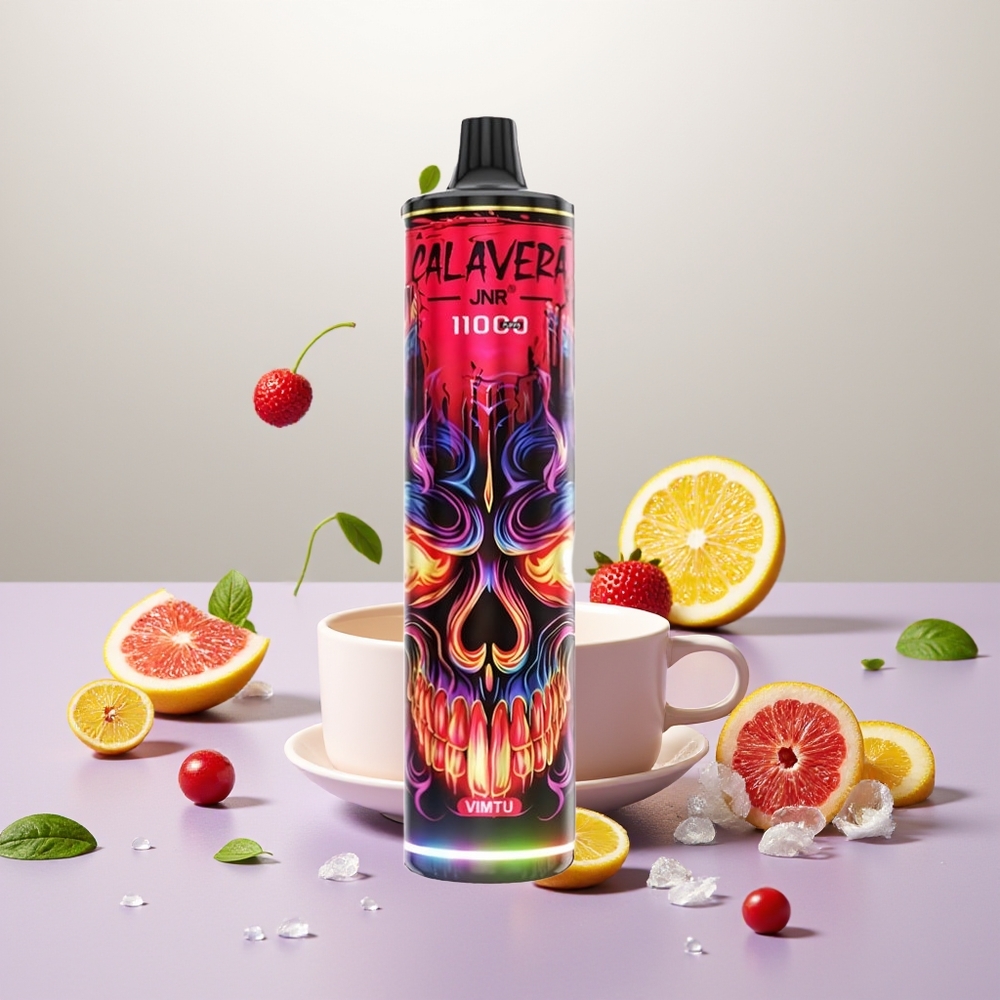 Wholesale Turkey JNR Calavera 11000 Puffs 850mAh 21ml Tek Kullanımlık Vape Vimtu