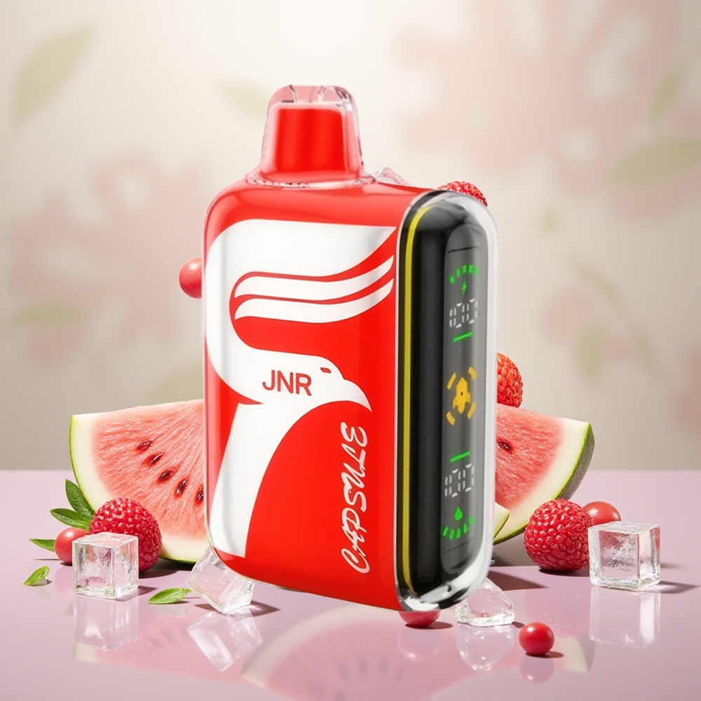 Wholesale Turkey JNR Capsule 15000 Puffs 20ml Karpuz Buz