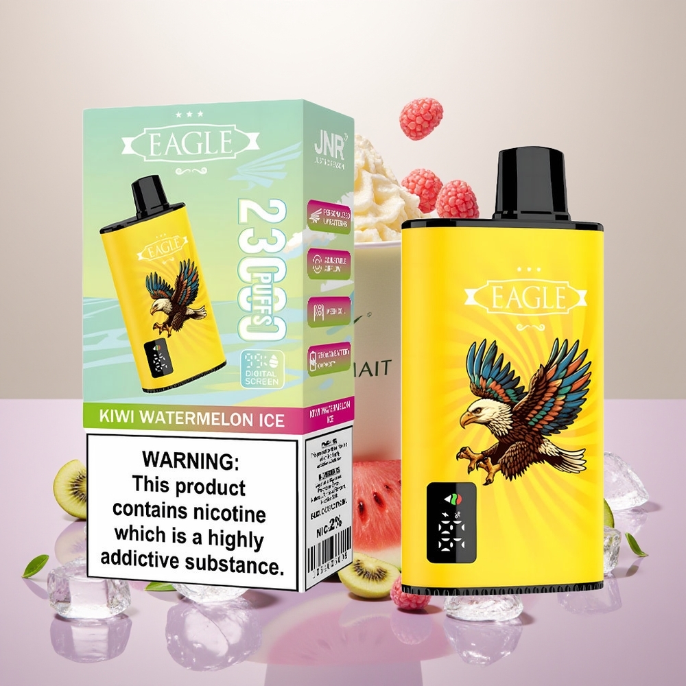 Wholesale Turkey JNR EAGLE Smart 23000 Puffs 25ml Type-C Kivi Karpuz Buz