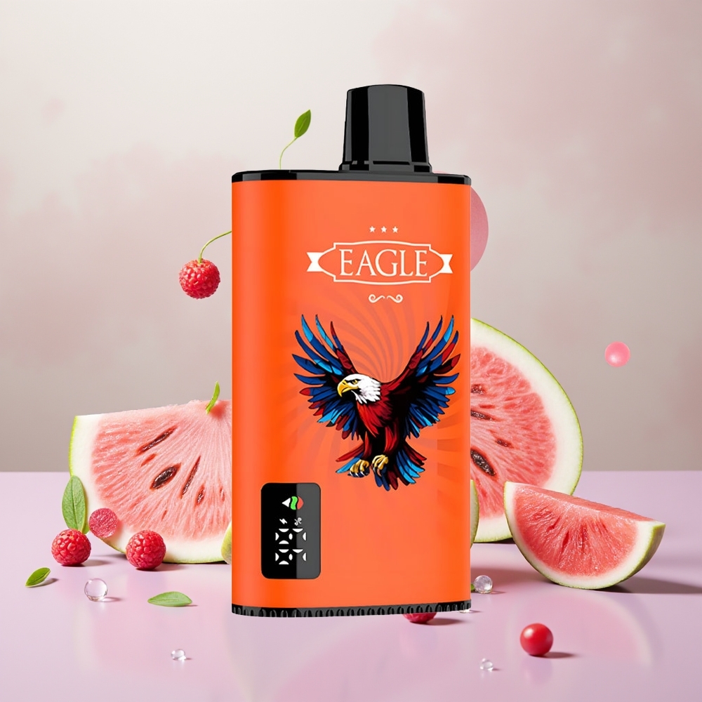 Wholesale Turkey JNR EAGLE Smart 23000 Puffs Dijital Ekran 25ml Karpuz Sakız