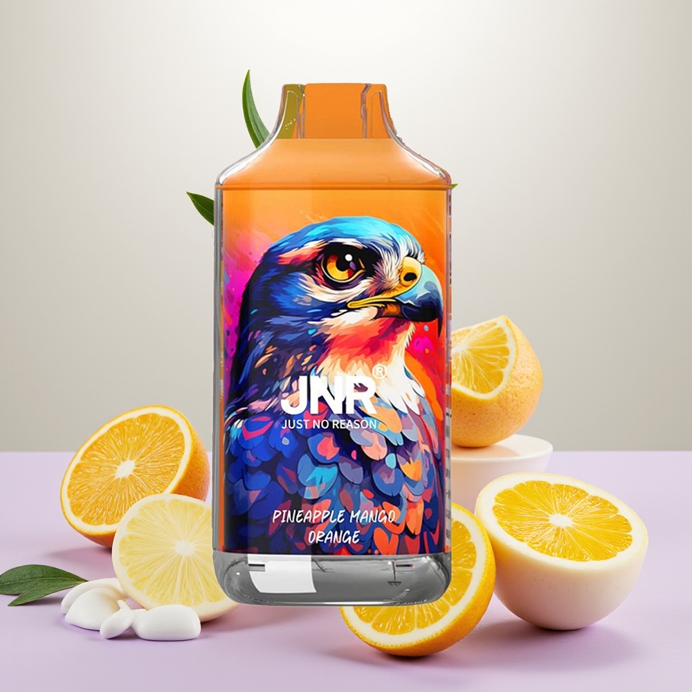 Wholesale Turkey JNR Falcon 16000 Puffs 22ml Ananas Mango Portakal
