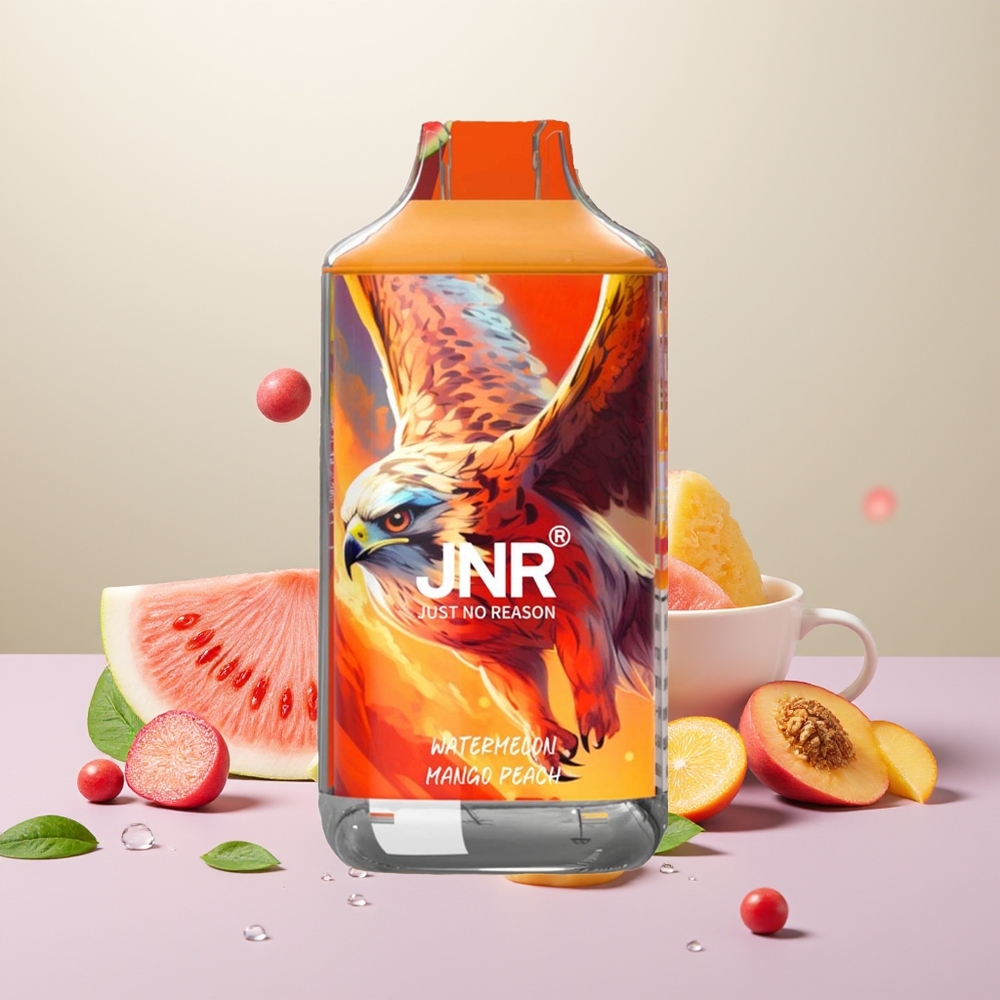 Wholesale Turkey JNR Falcon 16000 Puffs 22ml Karpuz Mango Şeftali