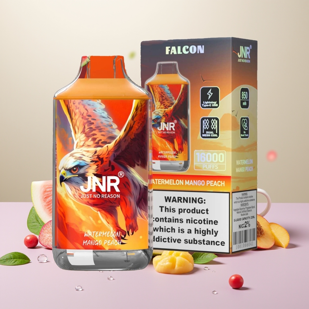 Wholesale Turkey JNR Falcon 16000 Puffs 22ml Karpuz Mango Şeftali