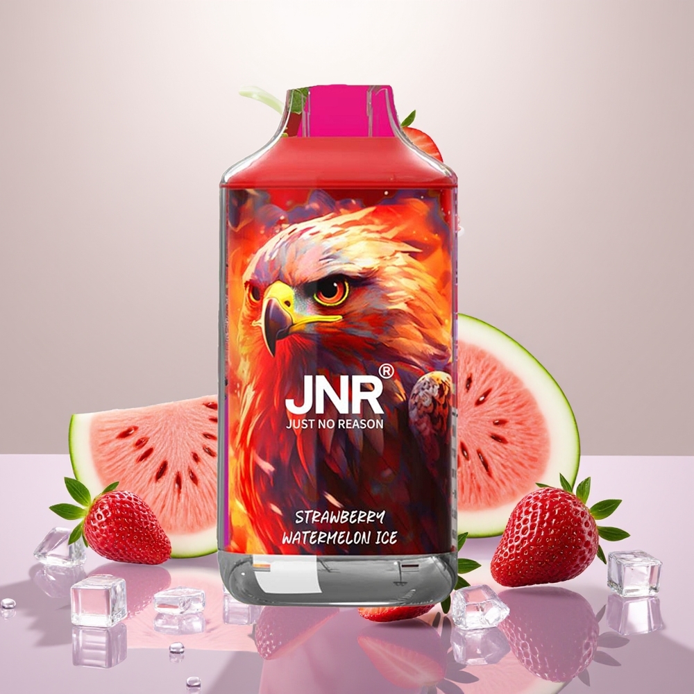 Wholesale Turkey JNR Falcon 16000 Puffs 22ml Çilek Karpuz Buz