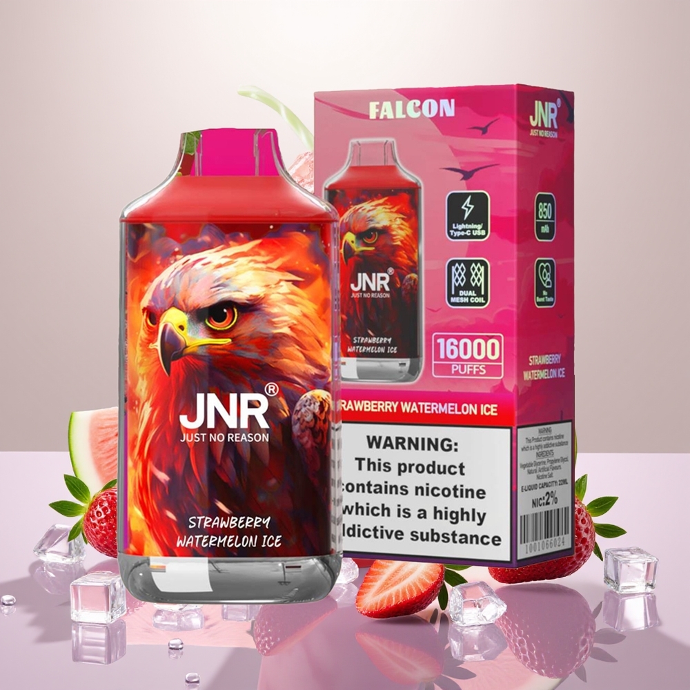 Wholesale Turkey JNR Falcon 16000 Puffs 22ml Çilek Karpuz Buz