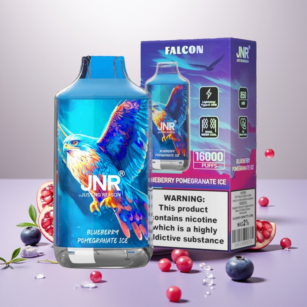 Wholesale Turkey JNR Falcon 16000 Puffs 850 mAh Mavi Böğürtlen Nar Buz