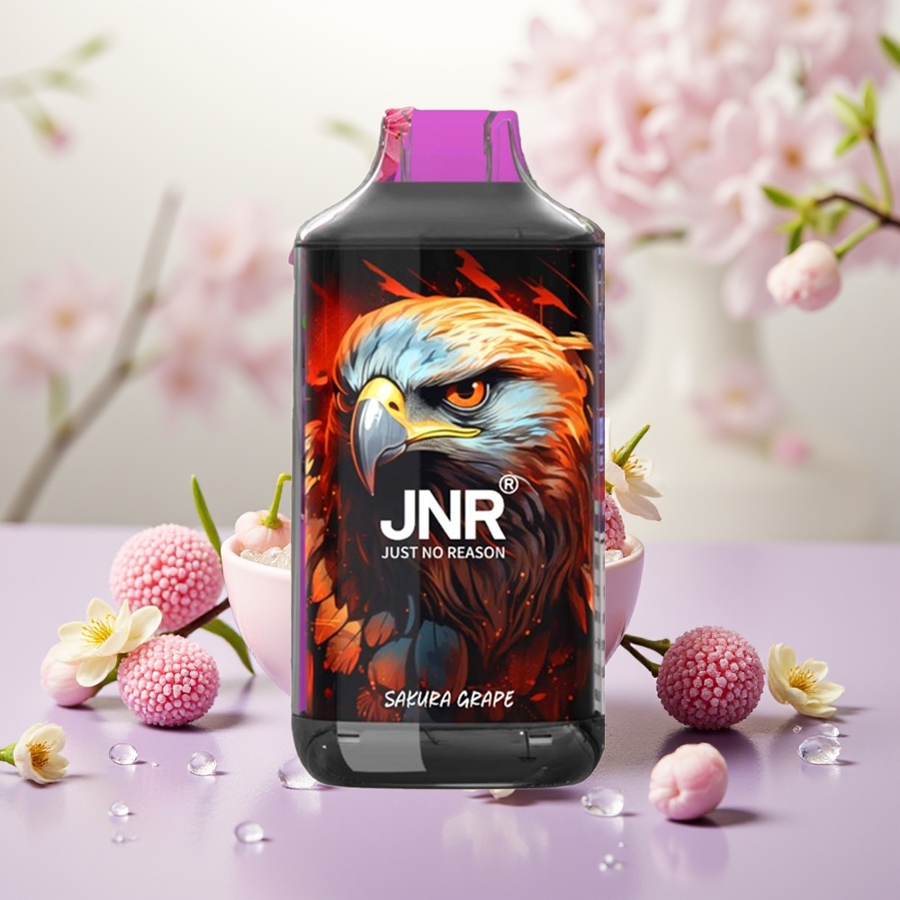 Wholesale Turkey JNR Falcon 16000 Puffs 850 mAh Sakura Üzüm Tek Kullanımlık Vape