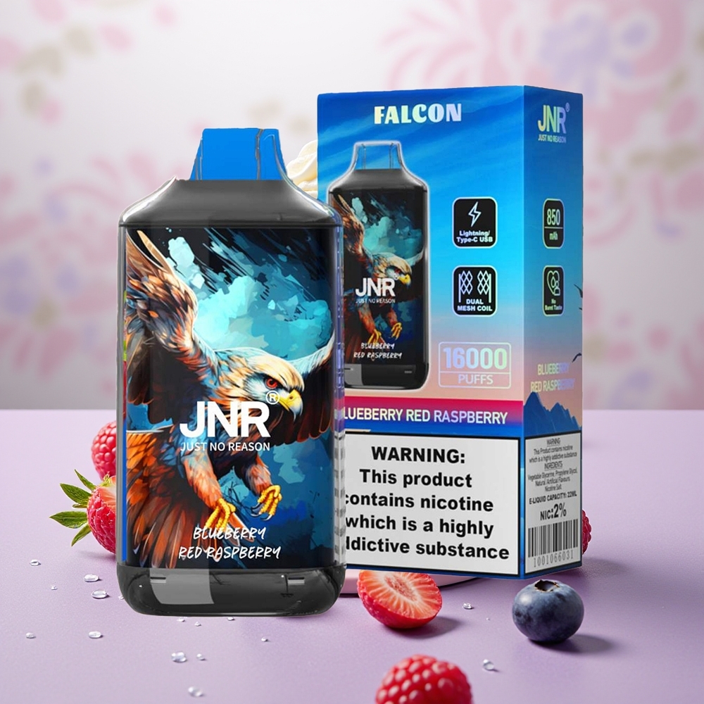 Wholesale Turkey JNR Falcon 16000 Puffs 850 mAh Yaban Mersini Ahududu