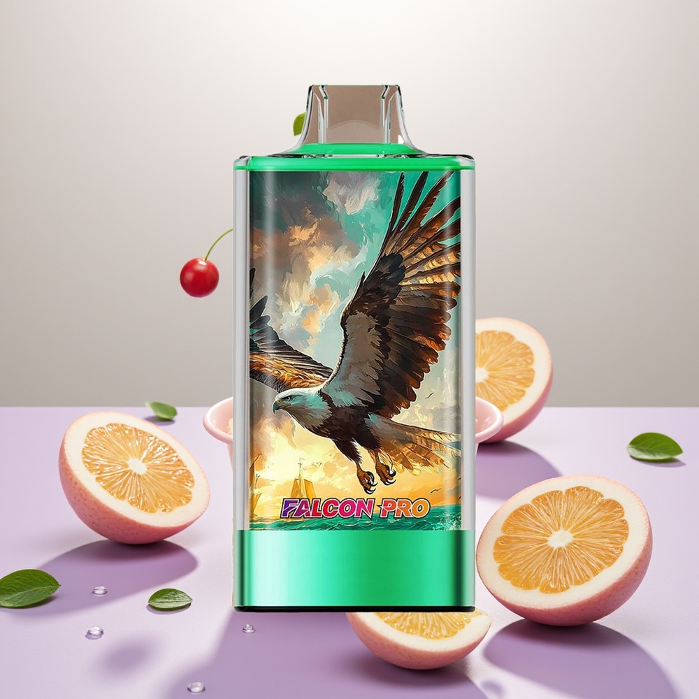 Wholesale Turkey JNR Falcon Pro 28000 30ml 5% Nikotin Çift Elma