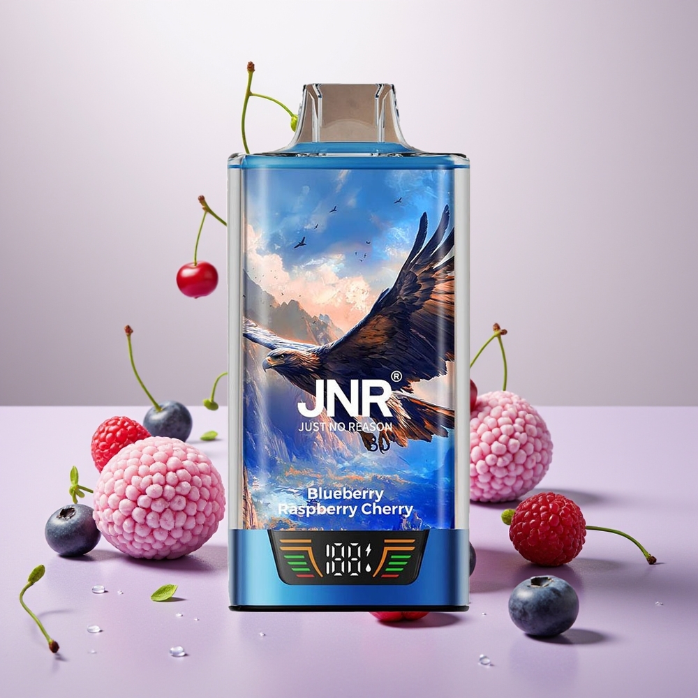 Wholesale Turkey JNR Falcon Pro 28000 30ml 950mAh Yaban Mersini Ahududu Kiraz