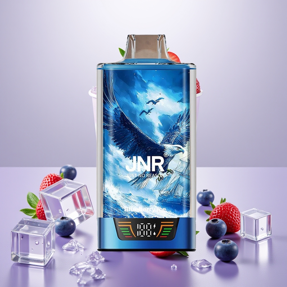 Wholesale Turkey JNR Falcon Pro 28000 30ml 950mAh Yaban Mersini Buz