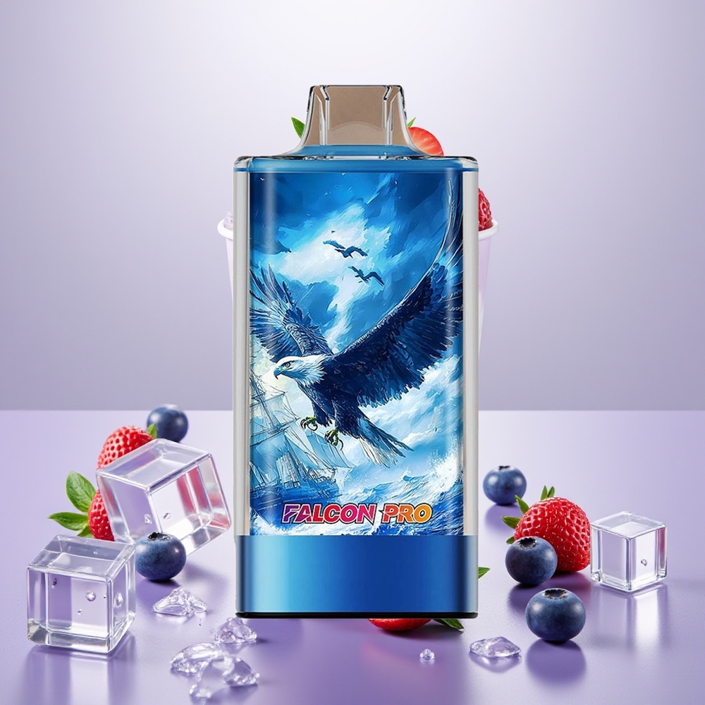 Wholesale Turkey JNR Falcon Pro 28000 30ml 950mAh Yaban Mersini Buz
