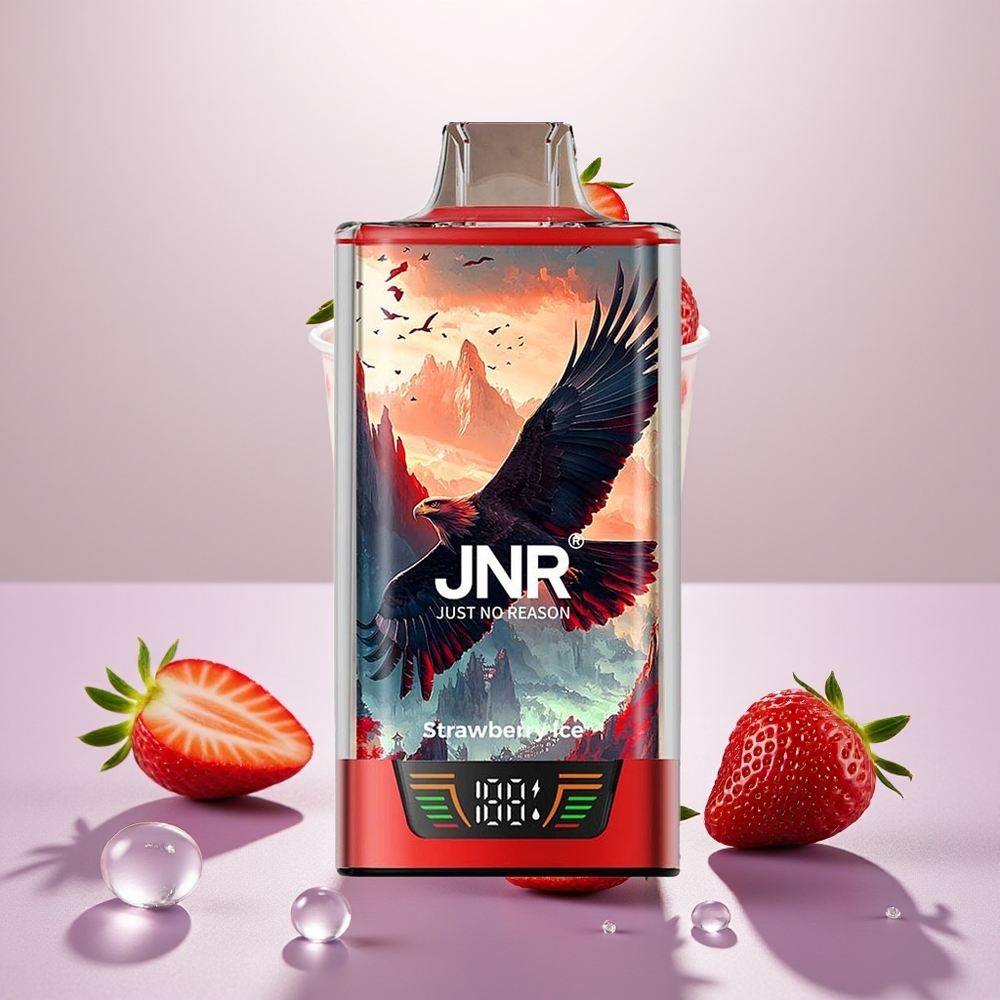 Wholesale Turkey JNR Falcon Pro 28000 30ml 950mAh Çilek Buz
