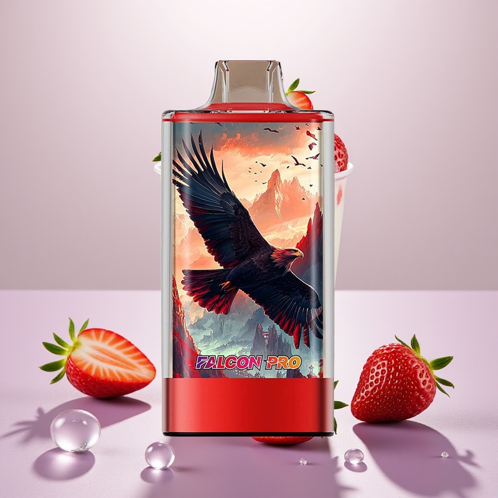 Wholesale Turkey JNR Falcon Pro 28000 30ml 950mAh Çilek Buz
