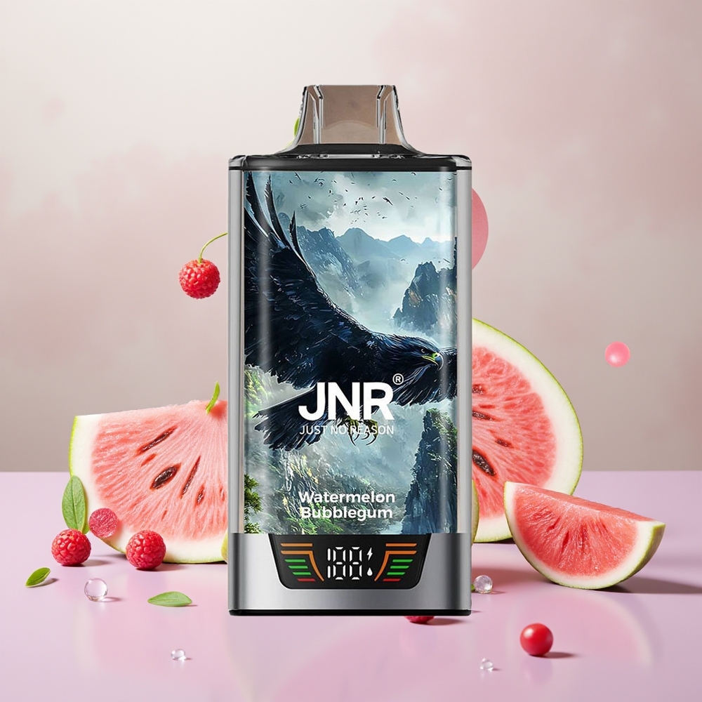 Wholesale Turkey JNR Falcon Pro 28000 30ml USB Type-C Karpuzlu Sakız