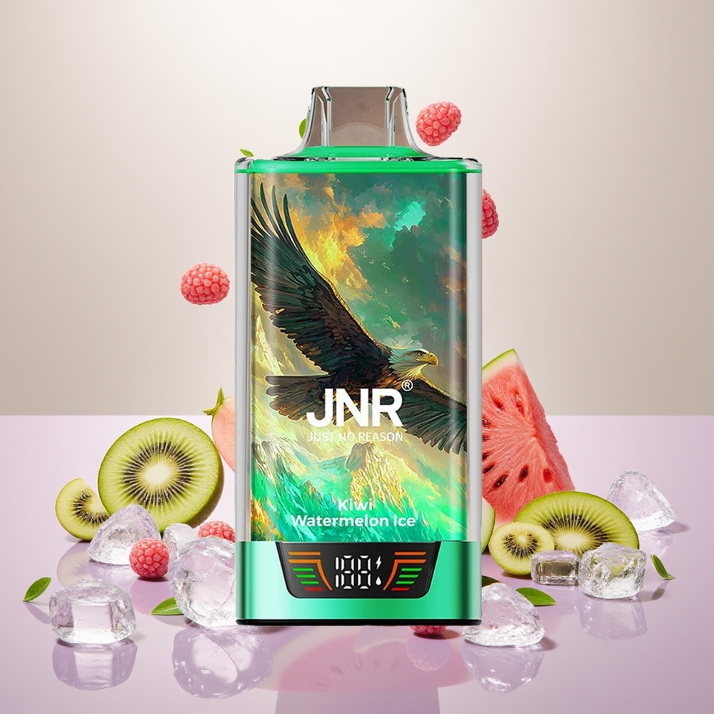 Wholesale Turkey JNR Falcon Pro 28000 Disposable 30ml USB Type-C Kivi Karpuz Buz