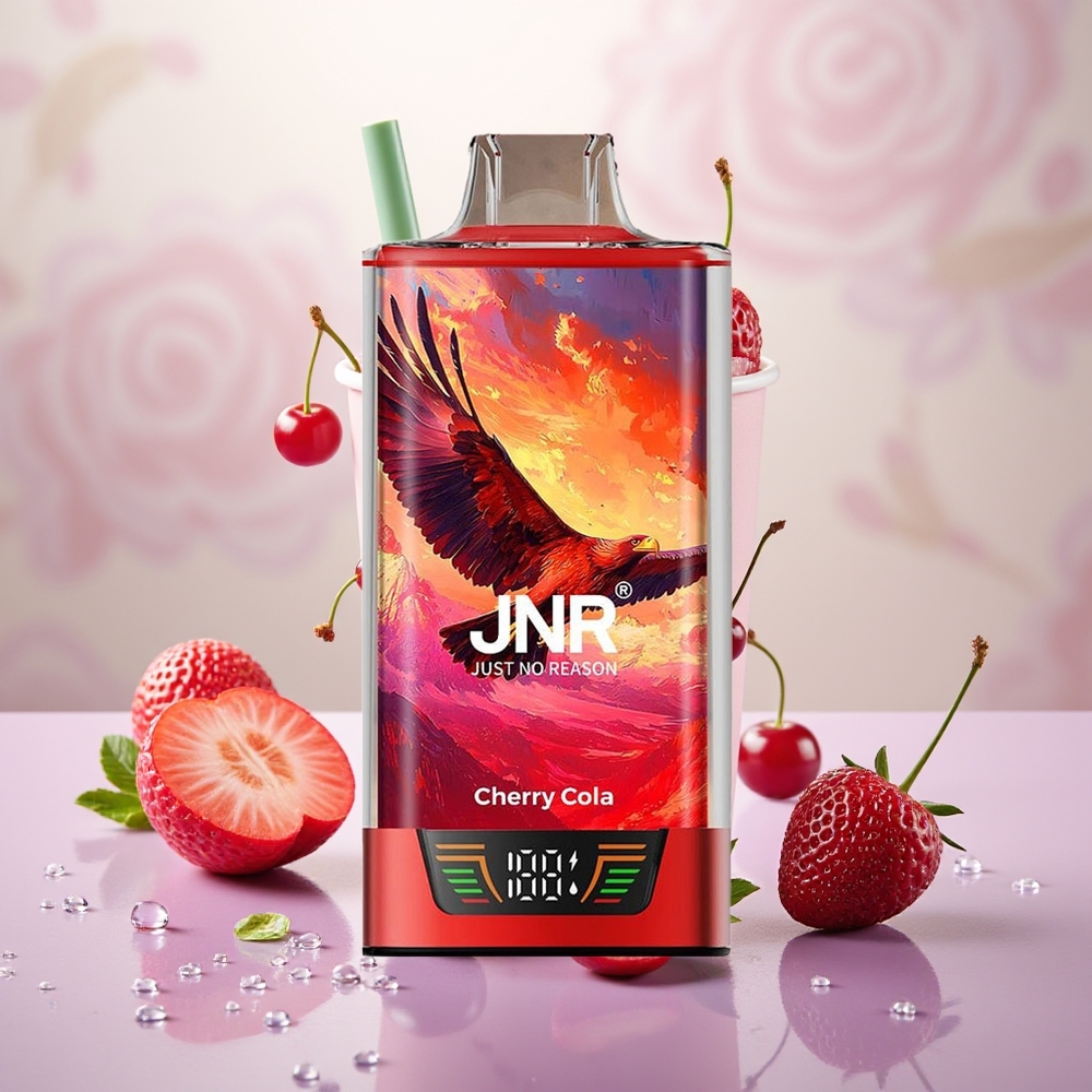 Wholesale Turkey JNR Falcon Pro 28000 Puff 30ml Vişne Kola