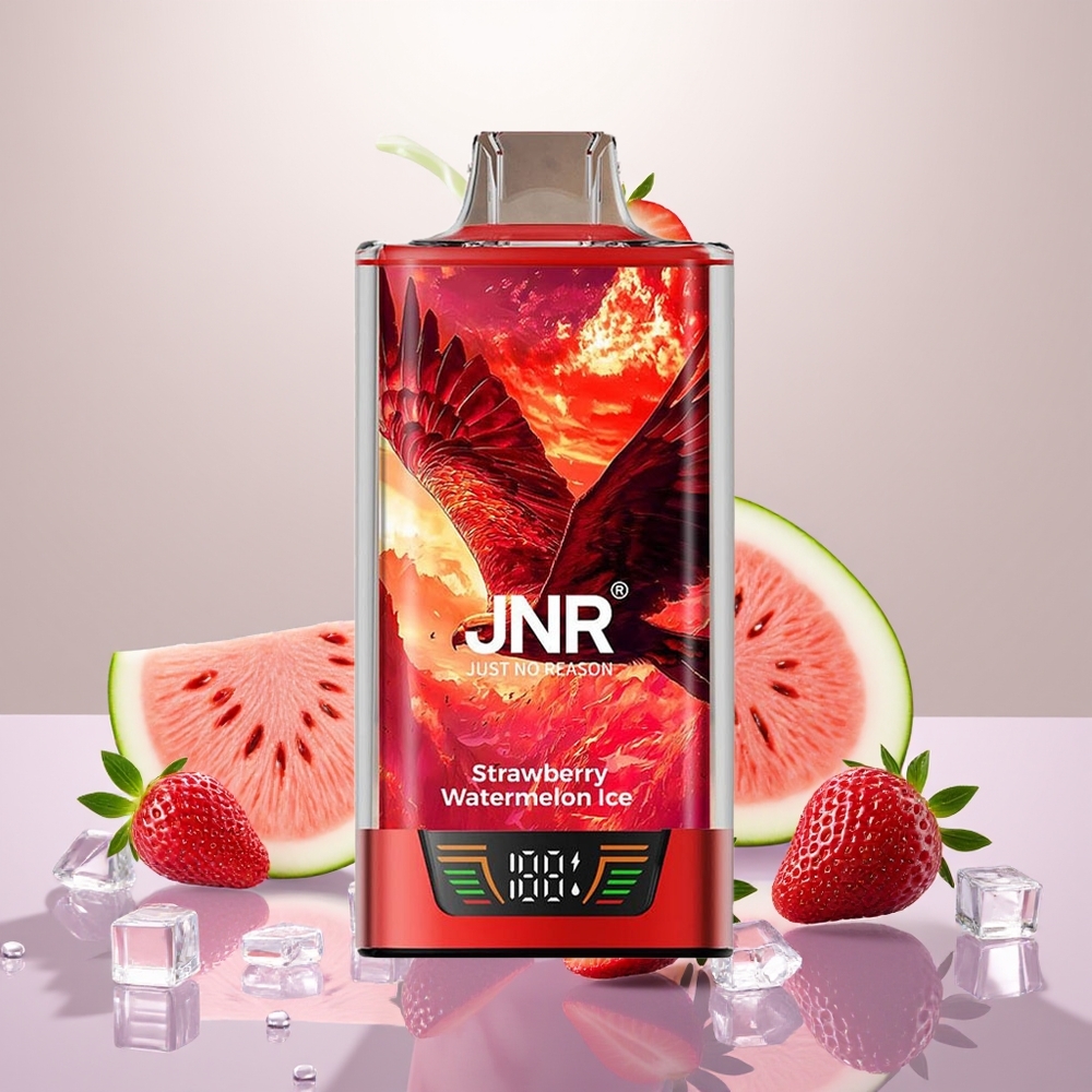 Wholesale Turkey JNR Falcon Pro 28000 Puff 30ml Çilek Karpuz Buz