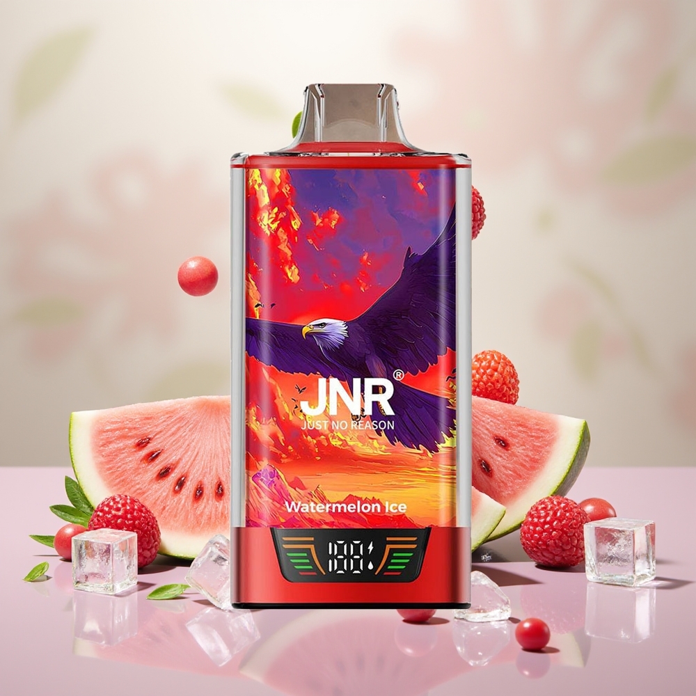 Wholesale Turkey JNR Falcon Pro 28000 Puff Smart Display Karpuz Buz
