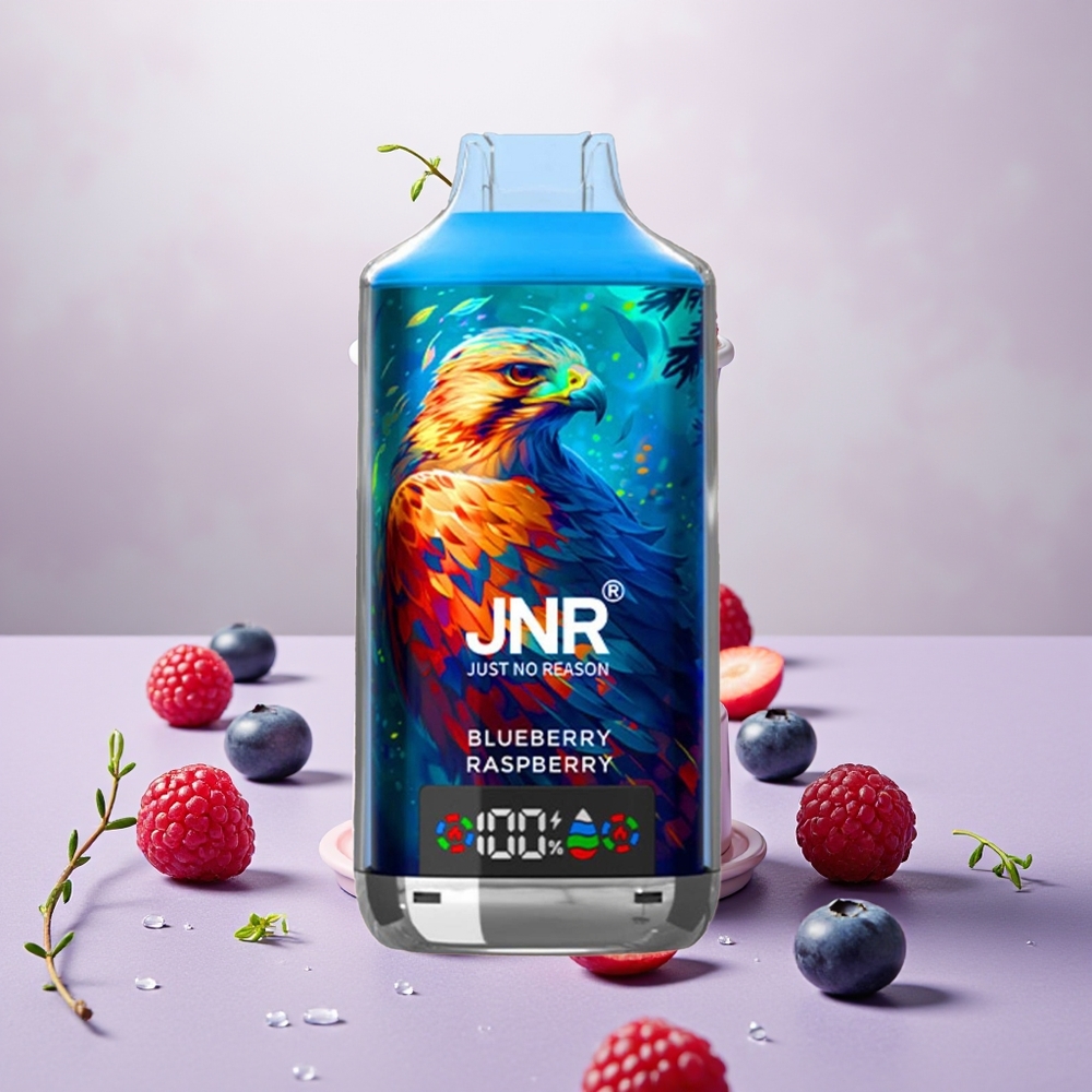 Wholesale Turkey JNR Falcon X 18000 Puffs 24ml Ahududu Böğürtlen
