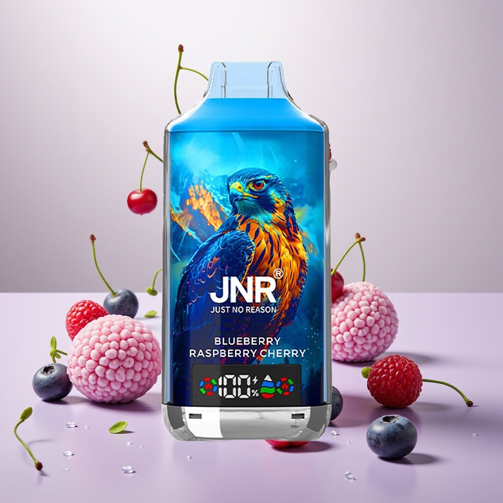 Wholesale Turkey JNR Falcon X 18000 Puffs 24ml Dual Mesh Blueberry Ahududu Kiraz