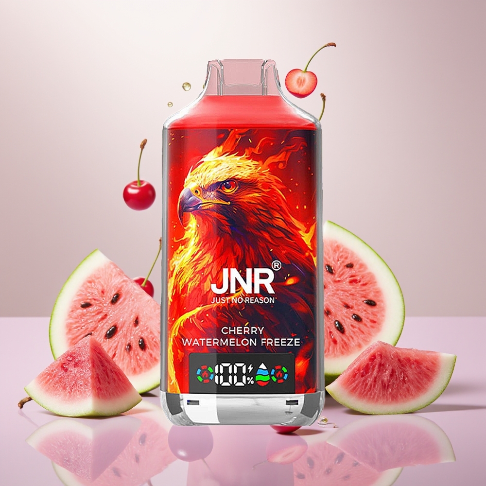 Wholesale Turkey JNR Falcon X 18000 Puffs 24ml Kiraz Karpuz Freeze
