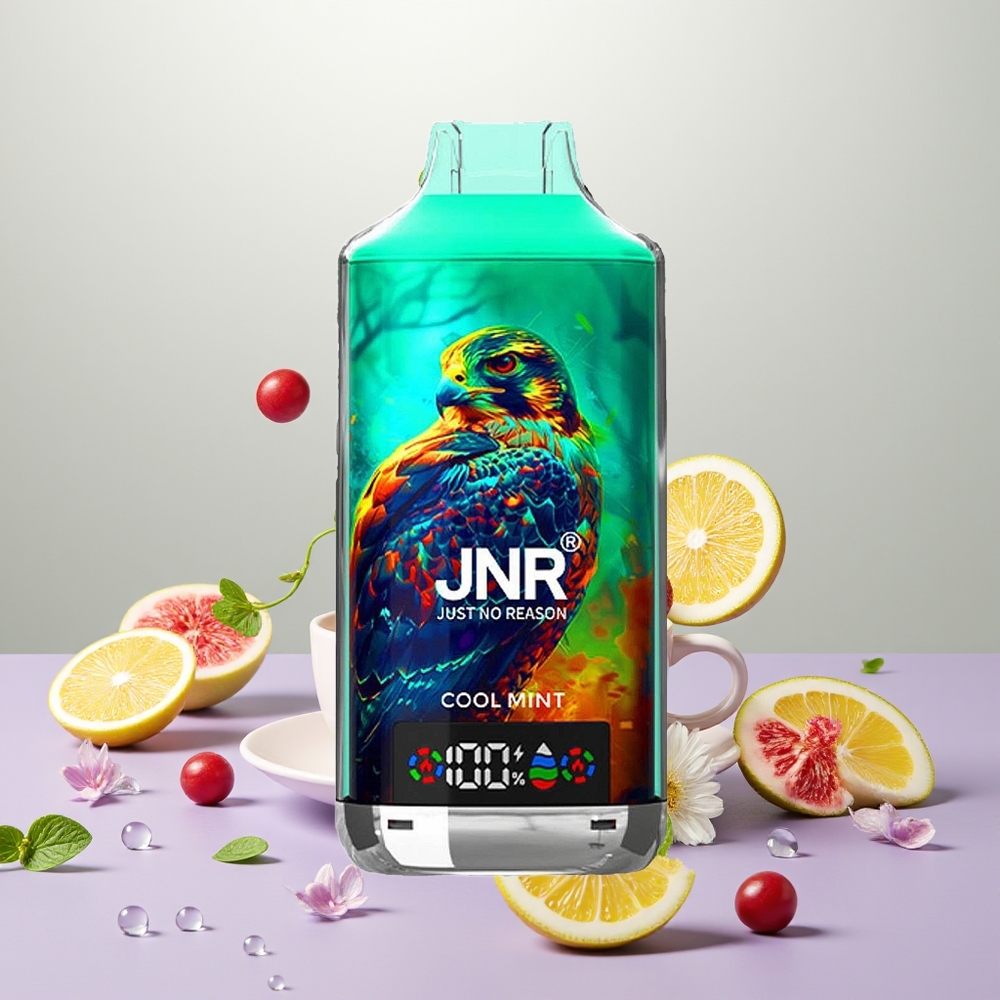 Wholesale Turkey JNR Falcon X 18000 Puffs 24ml Serin Nane