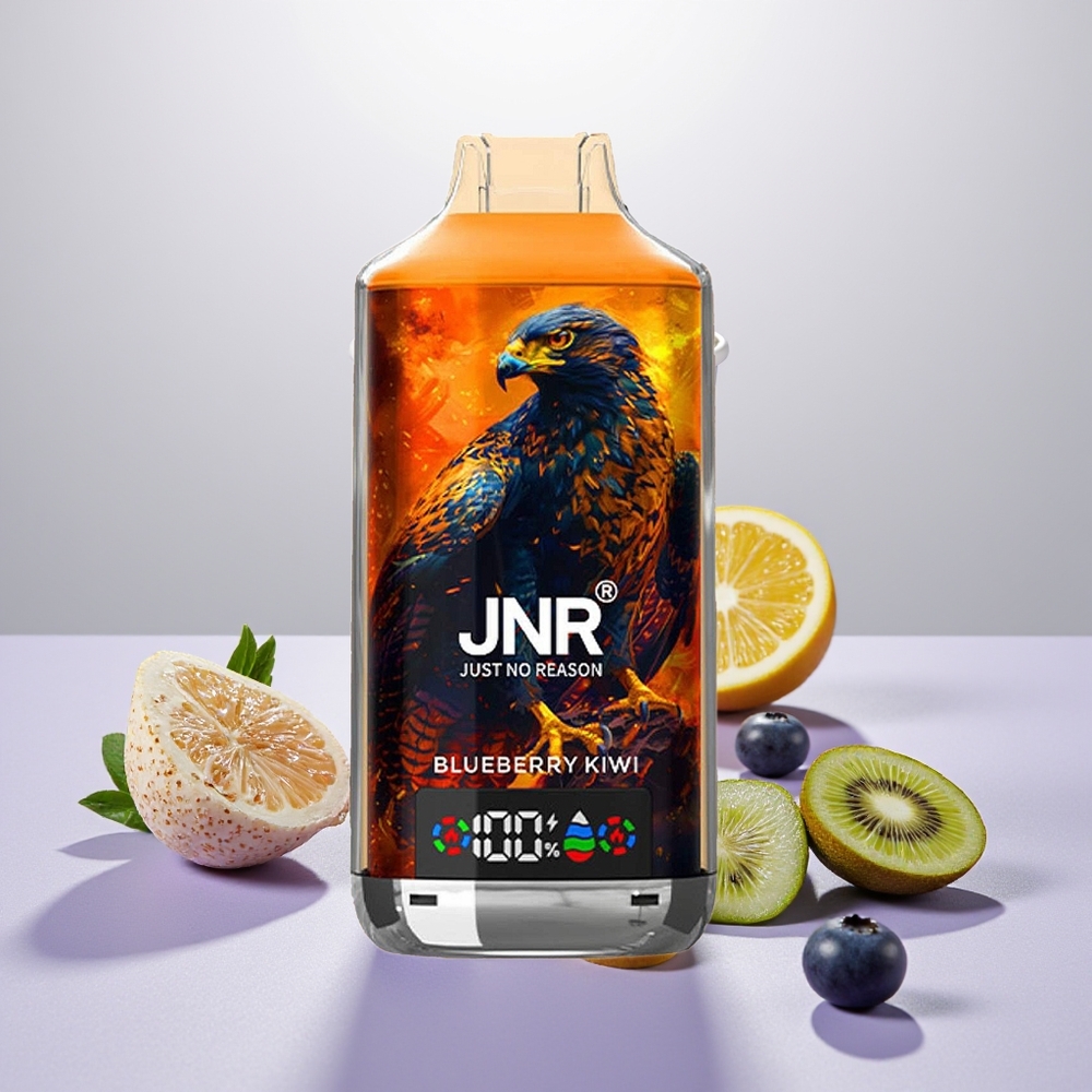 Wholesale Turkey JNR Falcon X 18000 Puffs 24ml Yaban Mersini Kivi