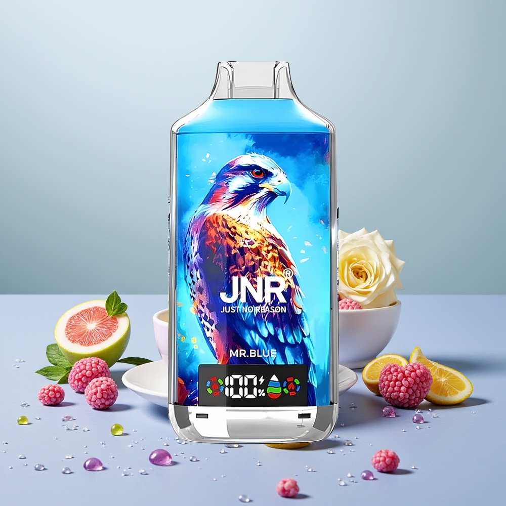 Wholesale Turkey JNR Falcon X 18000 Puffs 750mAh Digital Display Bay Mavi