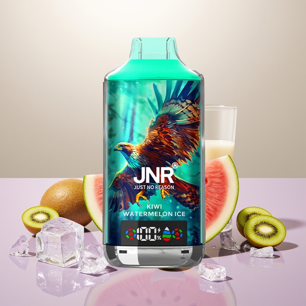 Wholesale Turkey JNR Falcon X 18000 Puffs 750mAh Type-C Quick Charge Kivi Karpuz Buz