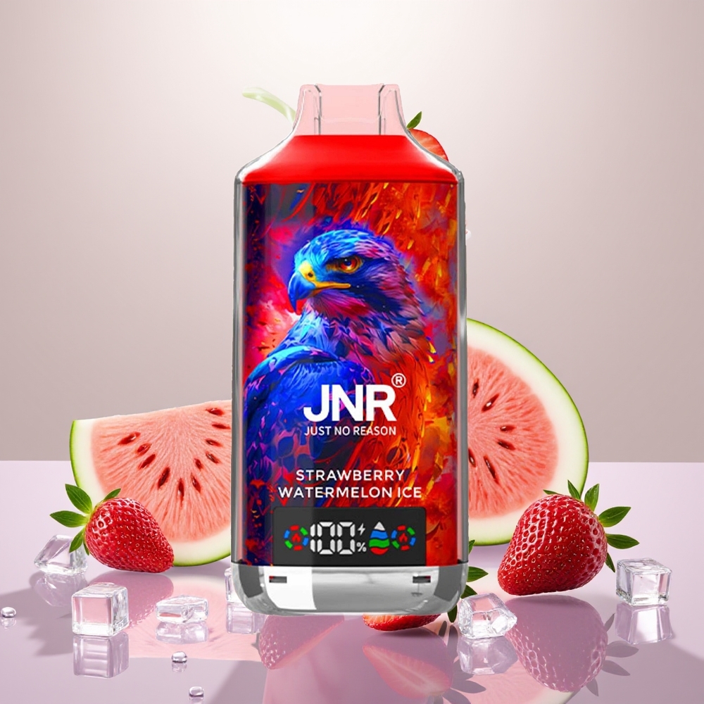 Wholesale Turkey JNR Falcon X 18000 Puffs 750mAh Type-C Çilek Karpuz Buz
