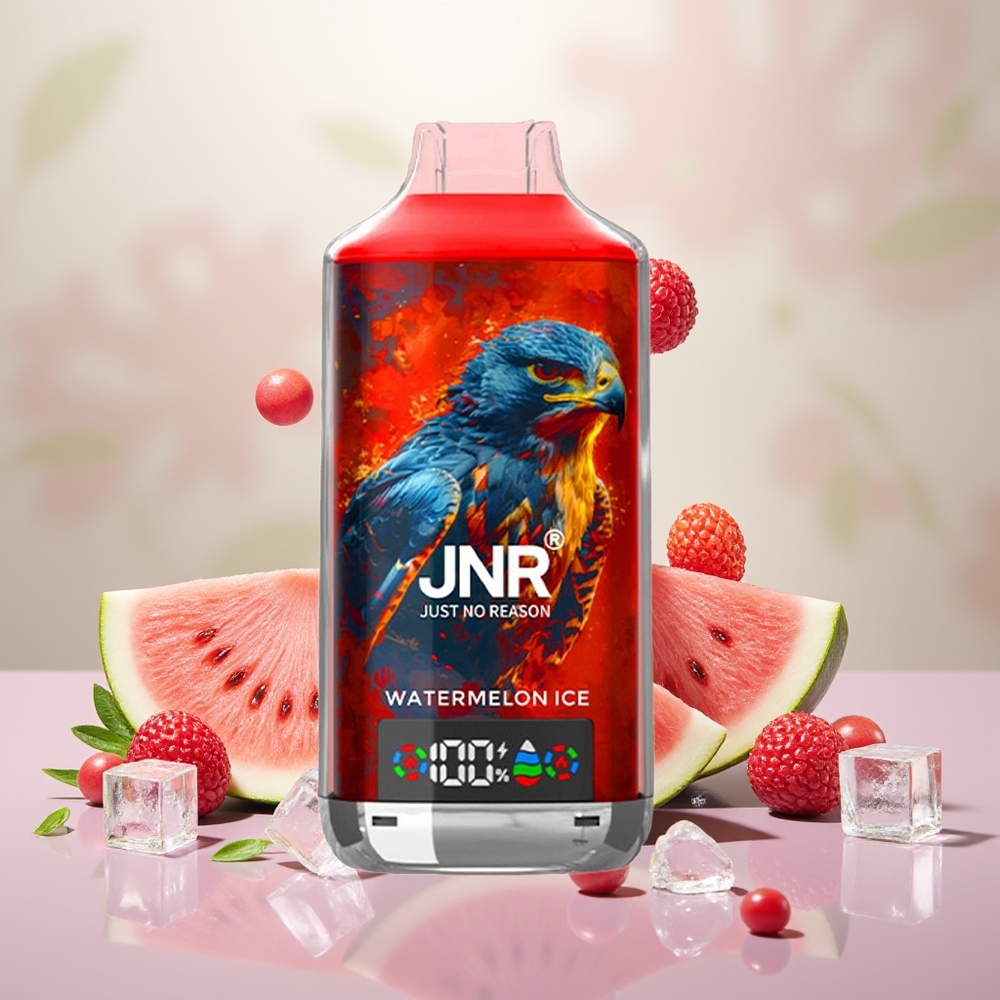 Wholesale Turkey JNR Falcon X 18000 Puffs Digital Display Karpuz Buz