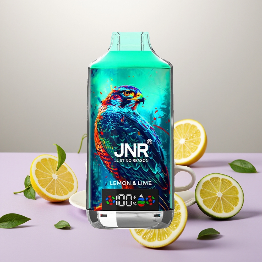 Wholesale Turkey JNR Falcon X 18000 Puffs Dual Mesh Coil Type-C Quick Charge Limon Lime
