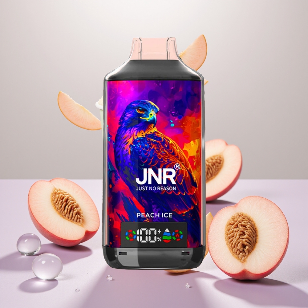 Wholesale Turkey JNR Falcon X 18000 Puffs Dual Mesh Coil Şeftali Buz