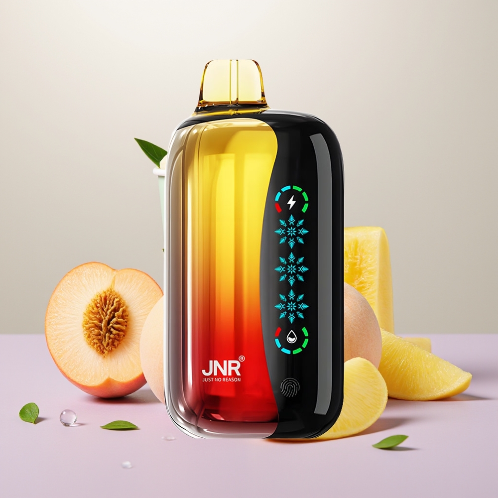Wholesale Turkey JNR Flex Ice 21000 Puf Özelleştirilebilir Hava Akışı Şeftali Mango Ananas