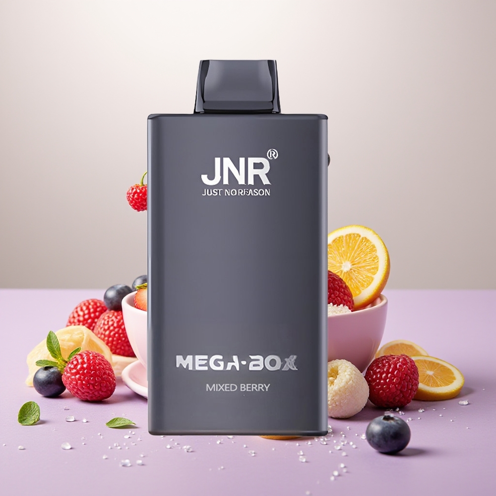 Wholesale Turkey JNR Mega Box 25000 Puff 850mAh Karışık Meyve Tek Kullanımlık Vape