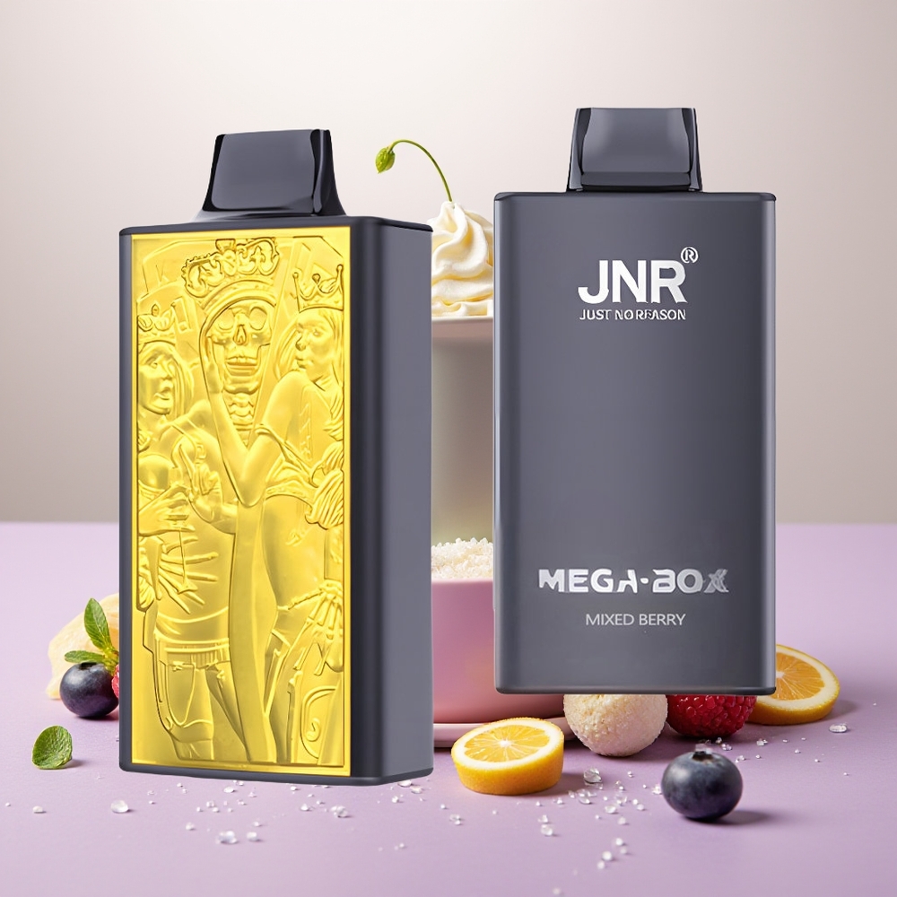 Wholesale Turkey JNR Mega Box 25000 Puff 850mAh Karışık Meyve Tek Kullanımlık Vape