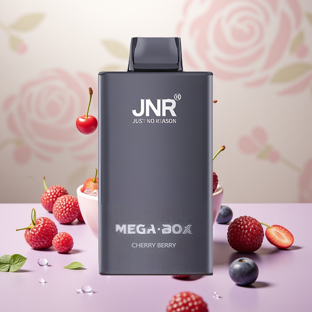 Wholesale Turkey JNR Mega Box 25000 Puff Çift Mesh Vişne Böğürtlen Tek Kullanımlık Vape