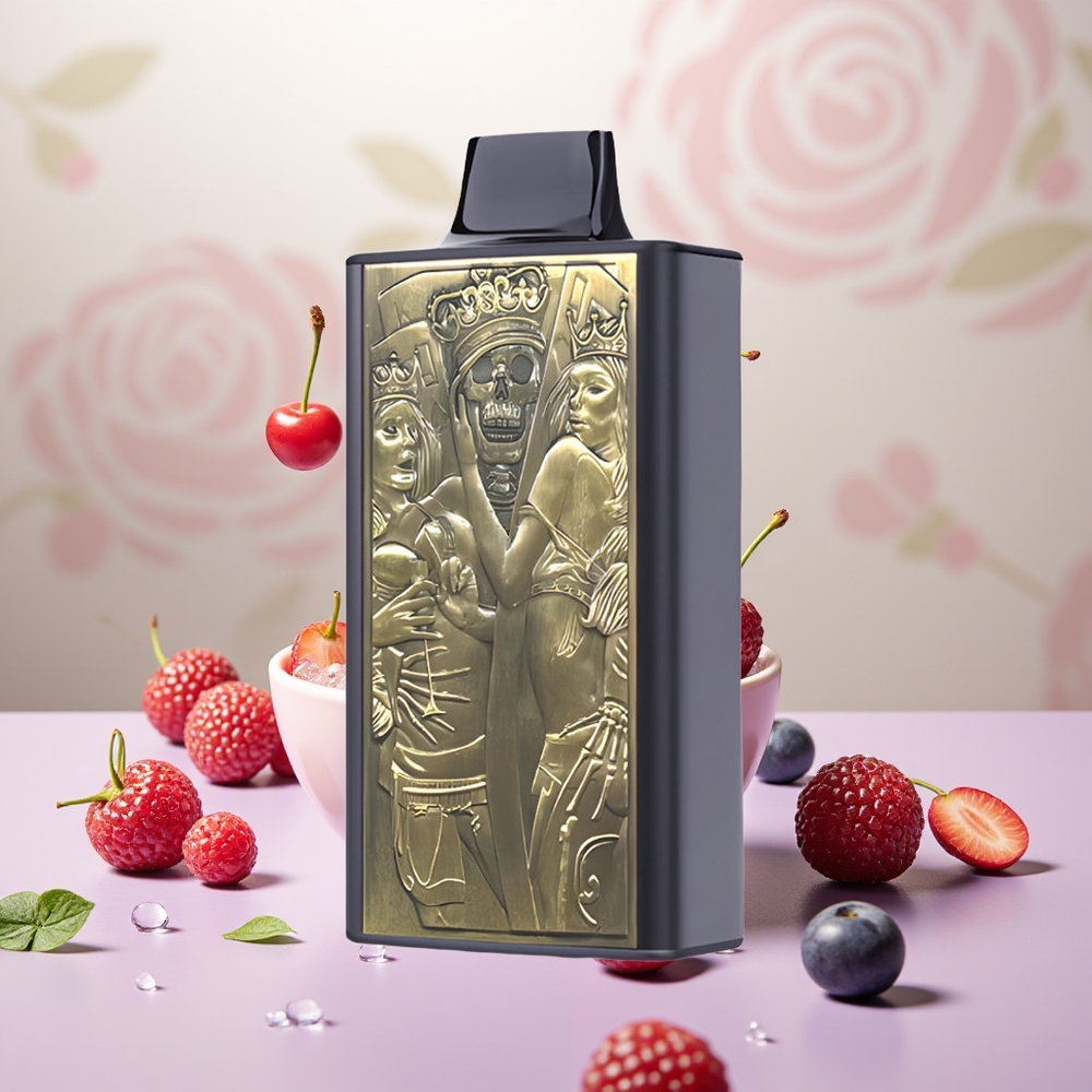 Wholesale Turkey JNR Mega Box 25000 Puff Çift Mesh Vişne Böğürtlen Tek Kullanımlık Vape