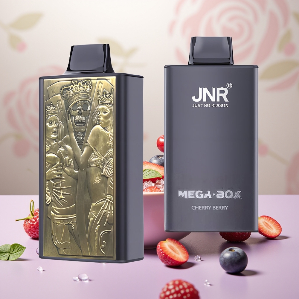 Wholesale Turkey JNR Mega Box 25000 Puff Çift Mesh Vişne Böğürtlen Tek Kullanımlık Vape