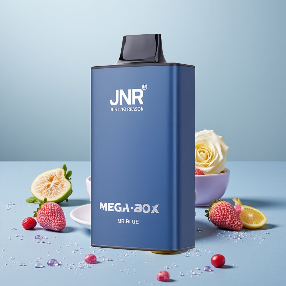 Wholesale Turkey JNR Mega Box 25000 Puffs 30ml Bay Mr Mavi