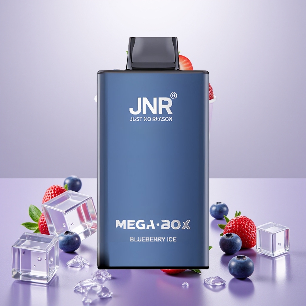 Wholesale Turkey JNR Mega Box 25000 Puffs Dual Mesh Coil Mavi Yemiş Buzu